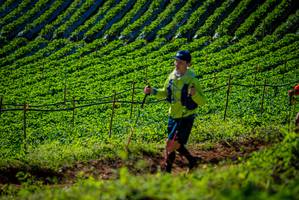 BIB: 
                            <button type="button" onclick="openModal(19160870)" class="btn btn-primary btn-sm float-right btn-popup" data-toggle="modal" data-target=".modal-high-quality">
                        <i class="fas fa-shopping-cart"></i> Add to Cart
                    </button>
                                            <button type="button" onclick="isThisMe(19160870, true)" class="btn btn-success btn-sm float-right btn-popup btn-isme hidden" data-toggle="tooltip" data-placement="bottom" title="นี่คือรูปของคุณใช่ไหม คลิกที่นี่เพื่อเอาเข้าอัลบั้ม">
                        <i class="fas fa-plus"></i> Add to album
                    </button>
                    <button type="button" onclick="isThisMe(19160870, false)" class="btn btn-warning btn-sm float-right btn-popup btn-isnotme hidden">
                        <i class="fas fa-ban"></i> Remove from album
                    </button>